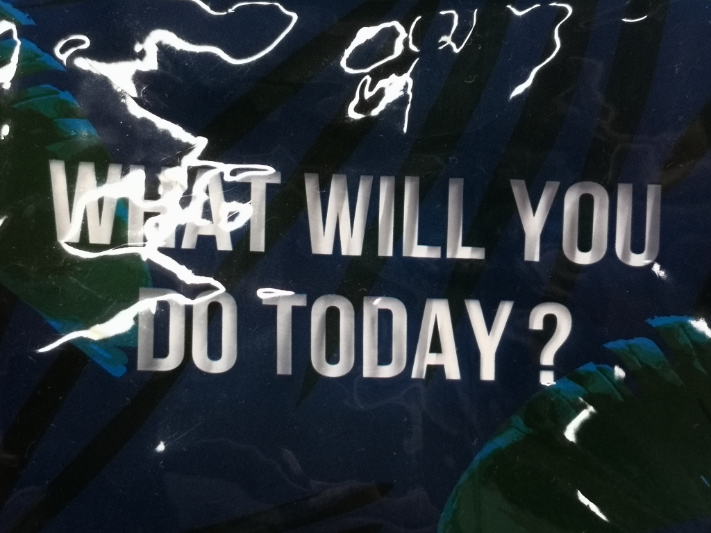 A water textured sign asking 'what will you do today?'